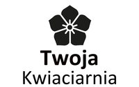 Szablon