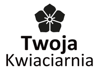 Szablon
