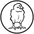 Szablon