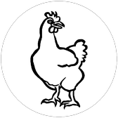 Szablon