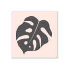 M&B - Monstera